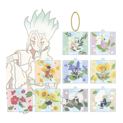 『Dr.STONE』トレーディング Botania アクリルキーホルダー(単位/BOX)