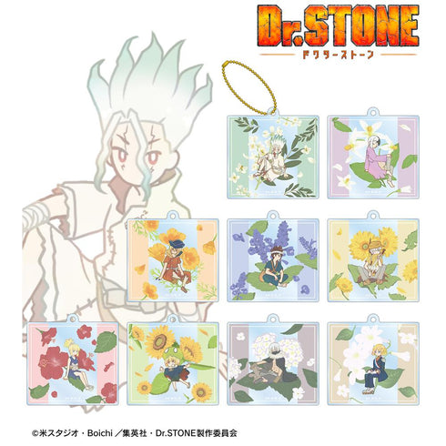 『Dr.STONE』トレーディング Botania アクリルキーホルダー(単位/BOX)
