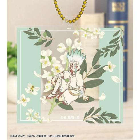 『Dr.STONE』トレーディング Botania アクリルキーホルダー(単位/BOX)【202510再販】