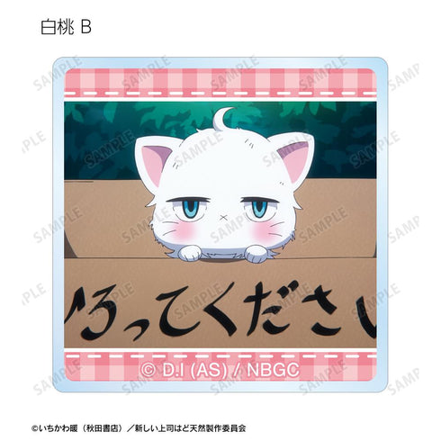 『新しい上司はど天然』トレーディング場面写アクリルタイル(単位/BOX)