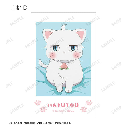 『新しい上司はど天然』トレーディング 白桃オンリー 場面写インスタントカメラ風イラストカード(単位/BOX)
