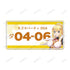 『この素晴らしい世界に祝福を!3』ダクネス ナンバープレート風アルミプレート