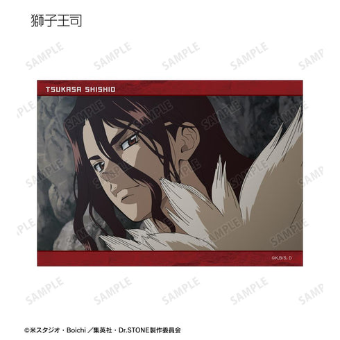 『Dr.STONE』トレーディング場面写ブロマイド(単位/BOX)【202510再販】