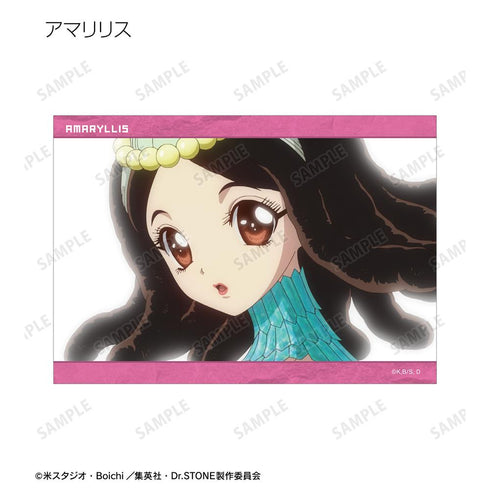 『Dr.STONE』トレーディング場面写ブロマイド(単位/BOX)【202510再販】