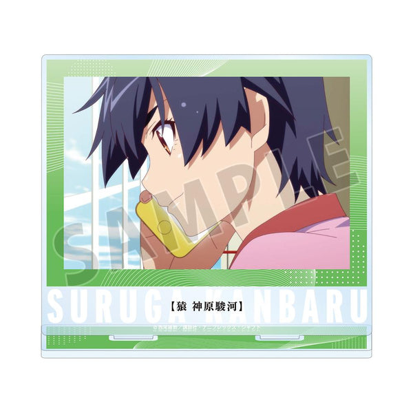 『〈物語〉シリーズ オフ&モンスターシーズン』神原駿河 場面写BIGアクリルスタンド【202601再販】