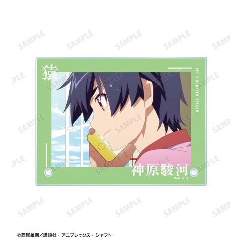 『〈物語〉シリーズ オフ&モンスターシーズン』神原駿河 場面写A6アクリルパネル