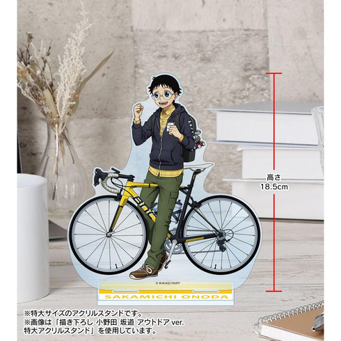 《弱虫踏板 GLORY LINE》全新繪製 東堂盡八 戶外版 特大亞克力立牌