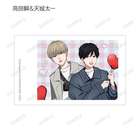 『高良くんと天城くん / 兄貴の友達』はなげのまい先生 描き下ろし プリントシール風ver. トレーディングインスタントカメラ風イラストカード(単位/BOX)
