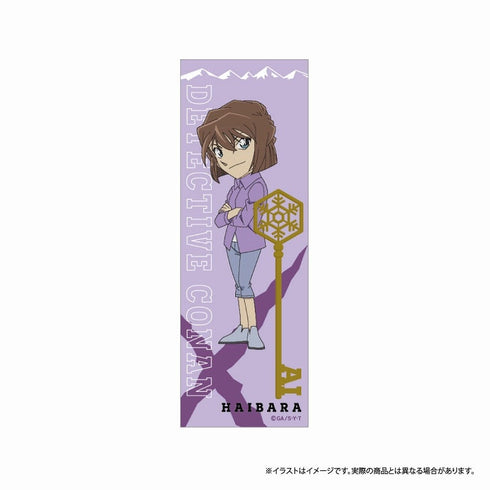 『名探偵コナン』名探偵コナン ロング長方形缶バッジ 灰原哀 vol.7