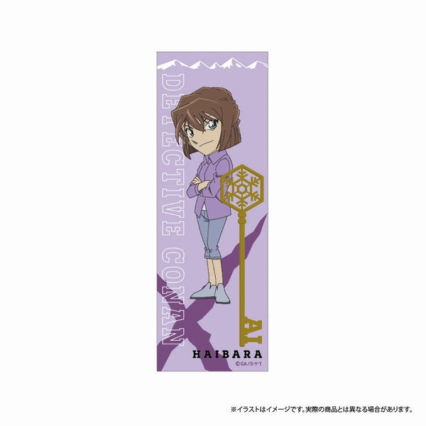 『名探偵コナン』名探偵コナン ロング長方形缶バッジ 灰原哀 vol.7