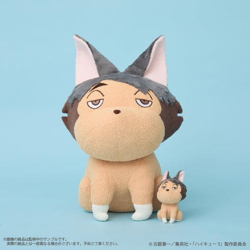 『ハイキュー!!』〈サムキツネ〉 クッション