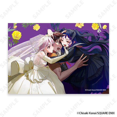 『僕の呪いの吸血姫』トレーディングブロマイド【BOX】