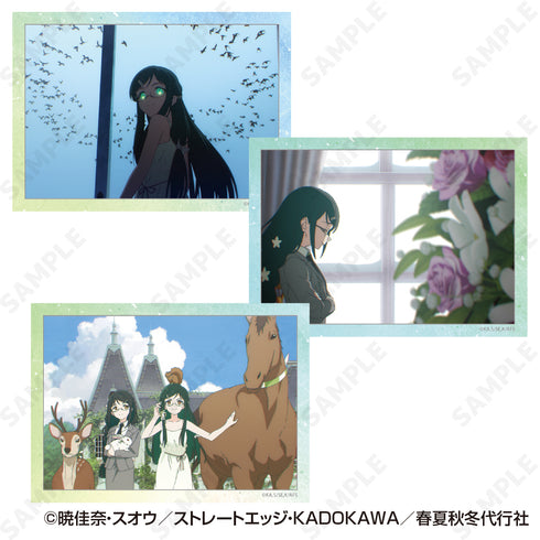 『春夏秋冬代行者 春の舞』ミニフォトカードセット 2 夏