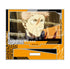 "Jujutsu Kaisen: The Death Tour" Mini Acrylic Stand Set (6-Piece Box)