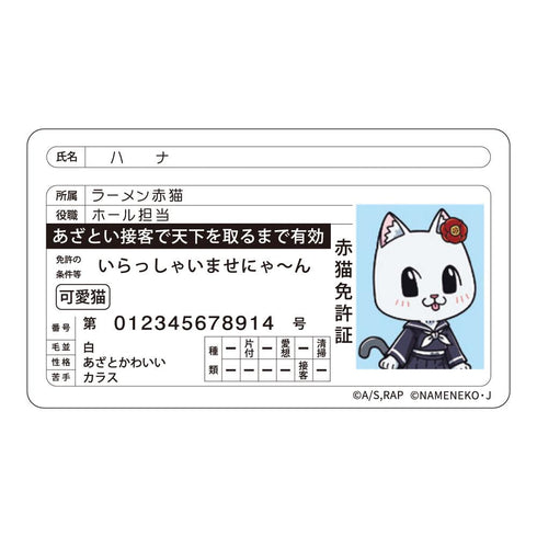 『ラーメン赤猫×なめ猫コラボ』免許証風ステッカー ハナ