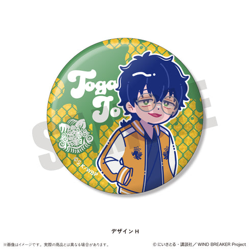 『WIND BREAKER』にゅーとろ 第2弾 ホログラム缶バッジ【BOX】