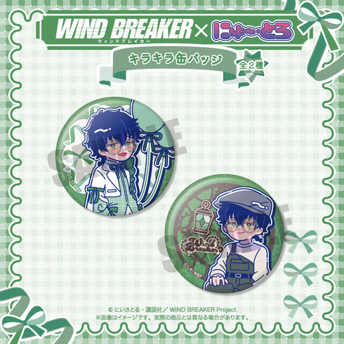 "WIND BREAKER" Nyutoro Birthday Merchandise: Jukamejo Sparkling Pin A