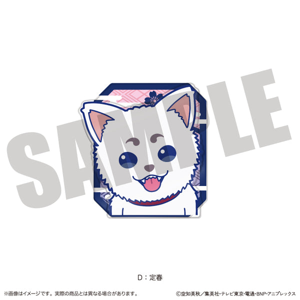 《银魂》新~托罗 第一弹 带背景立体夹 D 定春