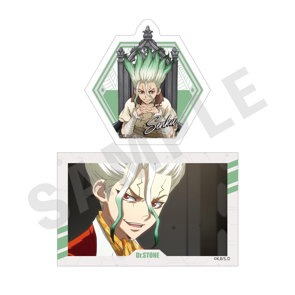 Dr.STONE POPUP WALLMA 缶バッジ 龍水 10点