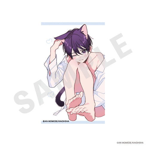 『ナカまであいして』トレーディングカード vol.2(全10種)【BOX】