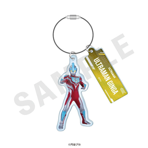 『ウルトラマンシリーズ』トレーディングワイヤーキーホルダー(全19種)【BOX】