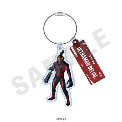 『ウルトラマンシリーズ』トレーディングワイヤーキーホルダー(全19種)【BOX】