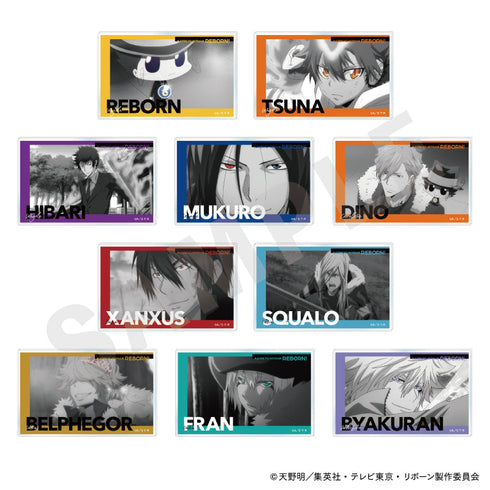 『家庭教師ヒットマンREBORN!』パートカラーシリーズ トレーディングアクリルカード(全10種)【BOX】