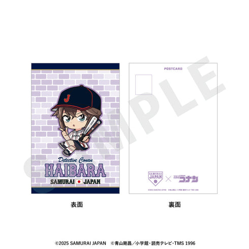 『侍ジャパン×名探偵コナン』ミニキャラ ポストカード(灰原哀)