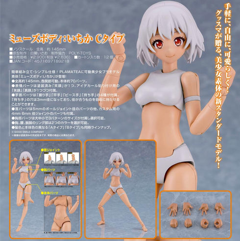『ミューズボディ:いちか』PLAMATEA Cタイプ
