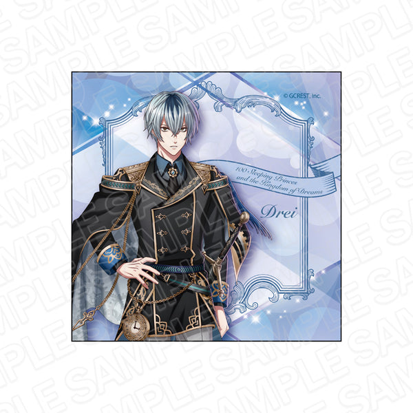 『夢王国と眠れる100人の王子様』マイクロファイバー ドライ An Eternal Dream