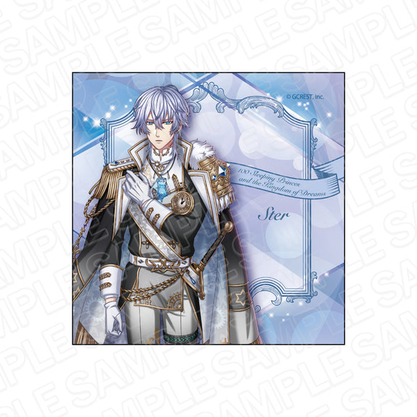 『夢王国と眠れる100人の王子様』マイクロファイバー シュテル Hope is in Me