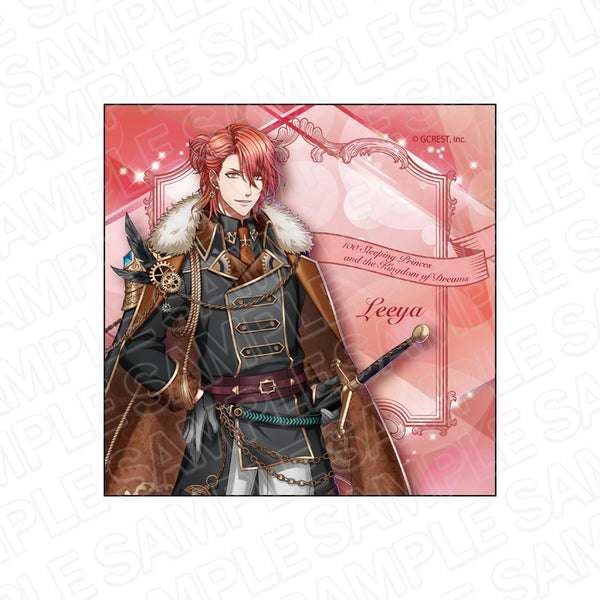 『夢王国と眠れる100人の王子様』マイクロファイバー リーヤ Hope is in Me