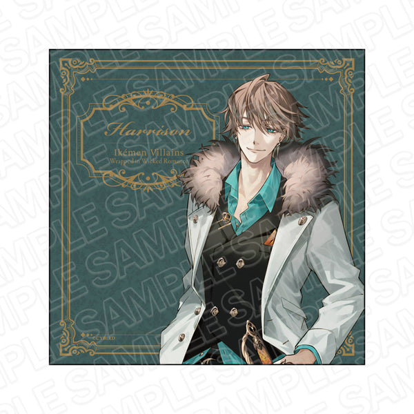 『イケメンヴィラン 闇夜にひらく悪の恋』マイクロファイバー ハリソン・グレイ