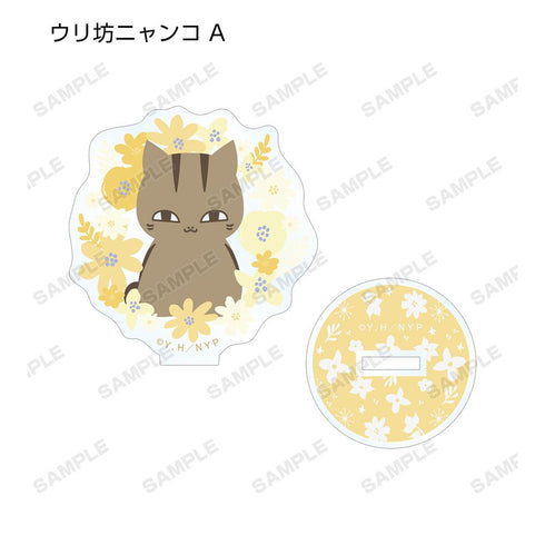 『夏目友人帳』トレーディング NordiQ アクリルスタンド(単位/BOX)【202602再販】