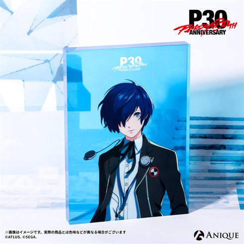 『ペルソナ』P30th【ルーフトップ】アクリルアートブロック P3 主人公