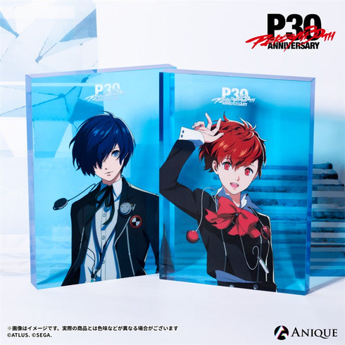 『ペルソナ』P30th【ルーフトップ】アクリルアートブロック P3P 主人公