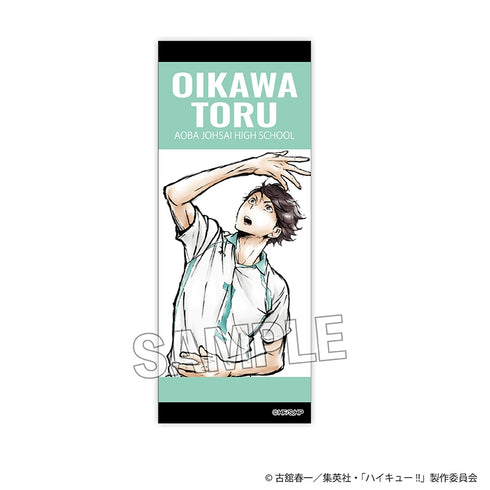 《排球少年!!》堆叠式长臂拦网 激战!!版 及川彻