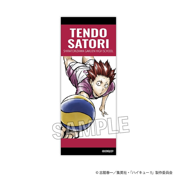 『ハイキュー!!』積み積みロングブロック 激闘!!ver. 天童 覚