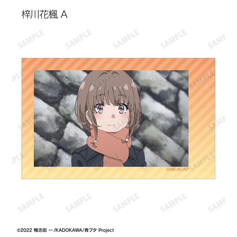 『青春ブタ野郎はおでかけシスターの夢を見ない』トレーディング場面写インスタントカメラ風イラストカード(単位/BOX)