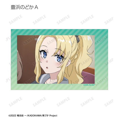 『青春ブタ野郎はおでかけシスターの夢を見ない』トレーディング場面写インスタントカメラ風イラストカード(単位/BOX)