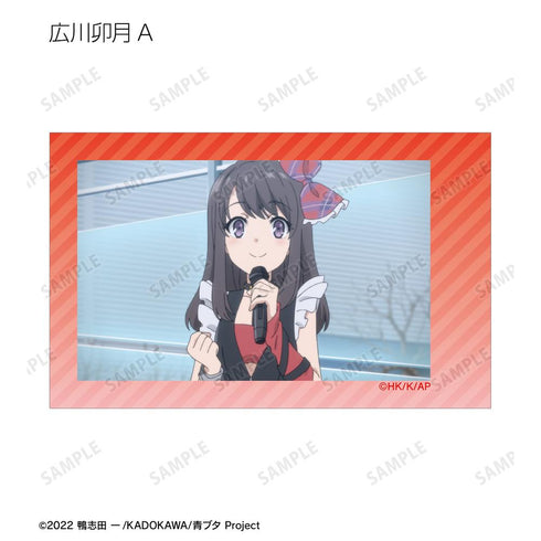 『青春ブタ野郎はおでかけシスターの夢を見ない』トレーディング場面写インスタントカメラ風イラストカード(単位/BOX)