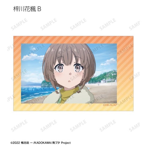 『青春ブタ野郎はおでかけシスターの夢を見ない』トレーディング場面写インスタントカメラ風イラストカード(単位/BOX)