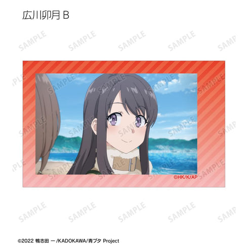 『青春ブタ野郎はおでかけシスターの夢を見ない』トレーディング場面写インスタントカメラ風イラストカード(単位/BOX)