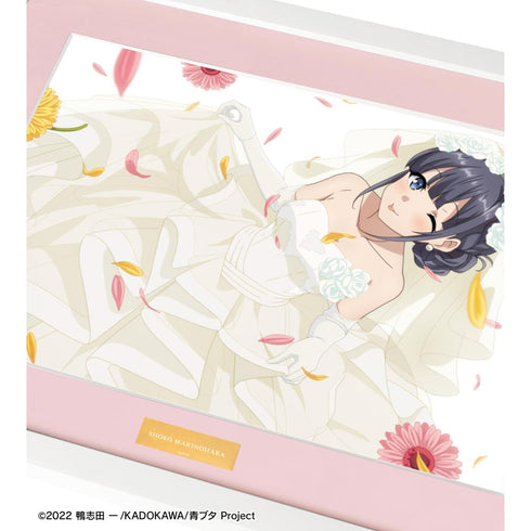 『青春ブタ野郎はゆめみる少女の夢を見ない』牧之原翔子 キャラファイングラフ vol.2