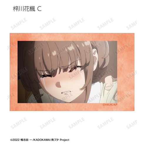 『青春ブタ野郎はランドセルガールの夢を見ない』トレーディング場面写インスタントカメラ風イラストカード(単位/BOX)