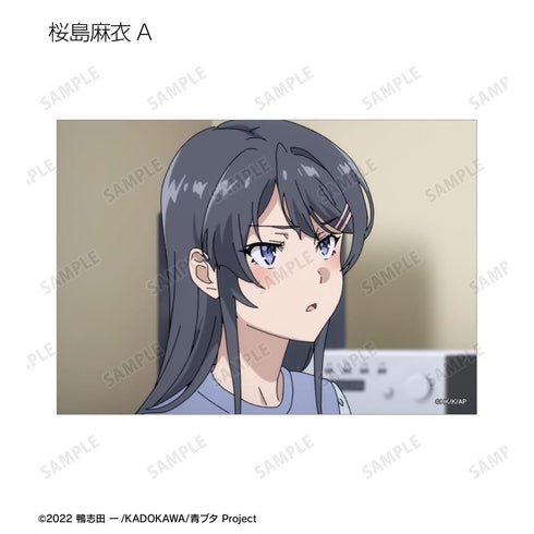 『青春ブタ野郎はおでかけシスターの夢を見ない』トレーディング場面写ブロマイド(単位/BOX)【202604再販】