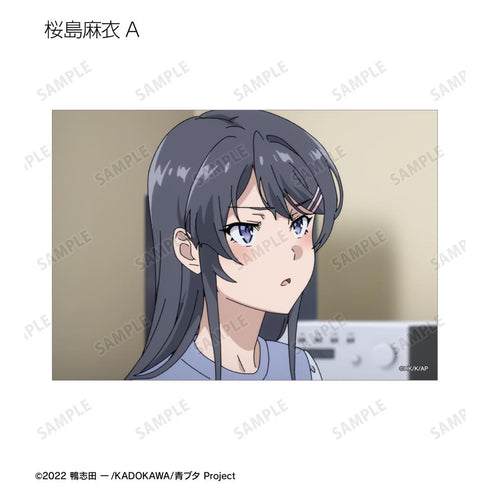 『青春ブタ野郎はおでかけシスターの夢を見ない』トレーディング場面写ブロマイド(単位/BOX)