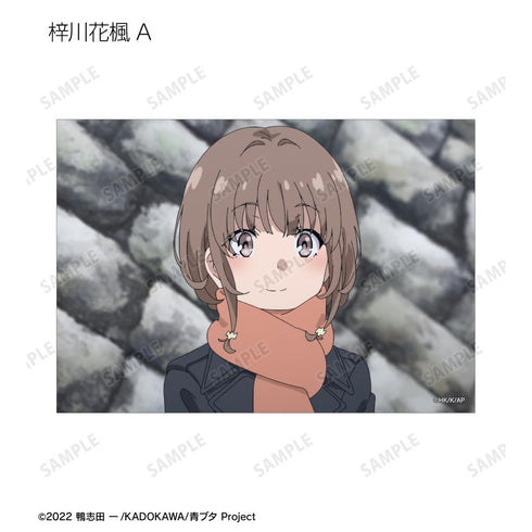 『青春ブタ野郎はおでかけシスターの夢を見ない』トレーディング場面写ブロマイド(単位/BOX)