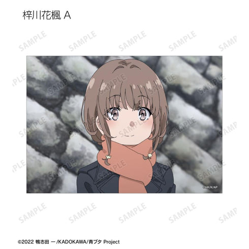 『青春ブタ野郎はおでかけシスターの夢を見ない』トレーディング場面写ブロマイド(単位/BOX)【202604再販】