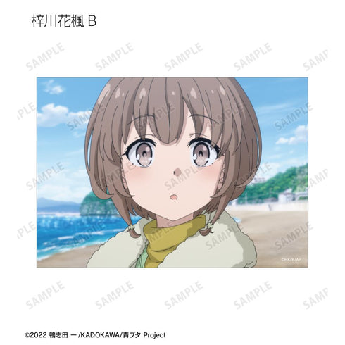 『青春ブタ野郎はおでかけシスターの夢を見ない』トレーディング場面写ブロマイド(単位/BOX)
